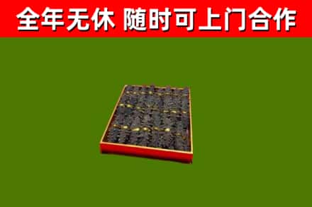 桐城市回收海参
